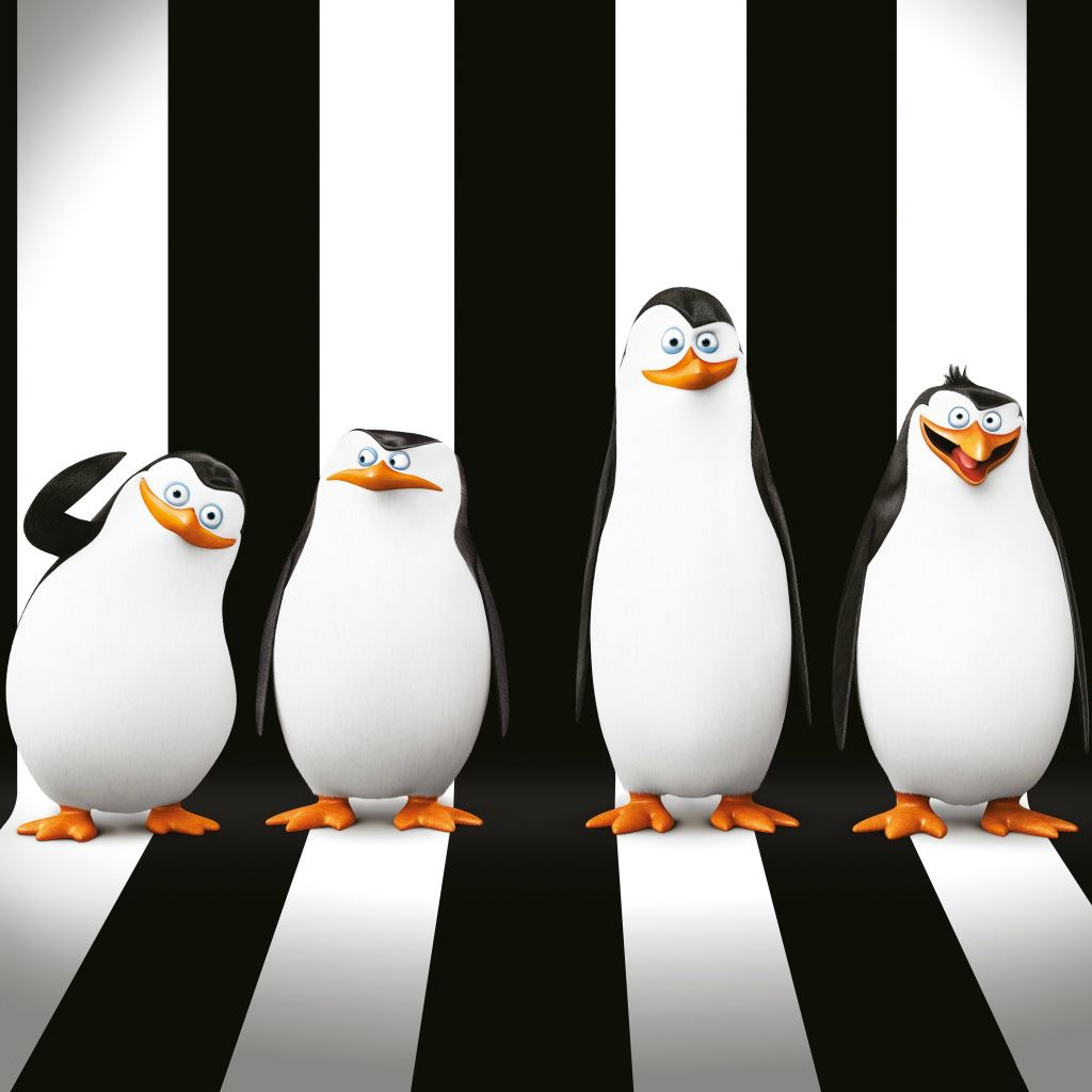 Pinguini del Madagascar cartoon, 1024x1024 HD, PC