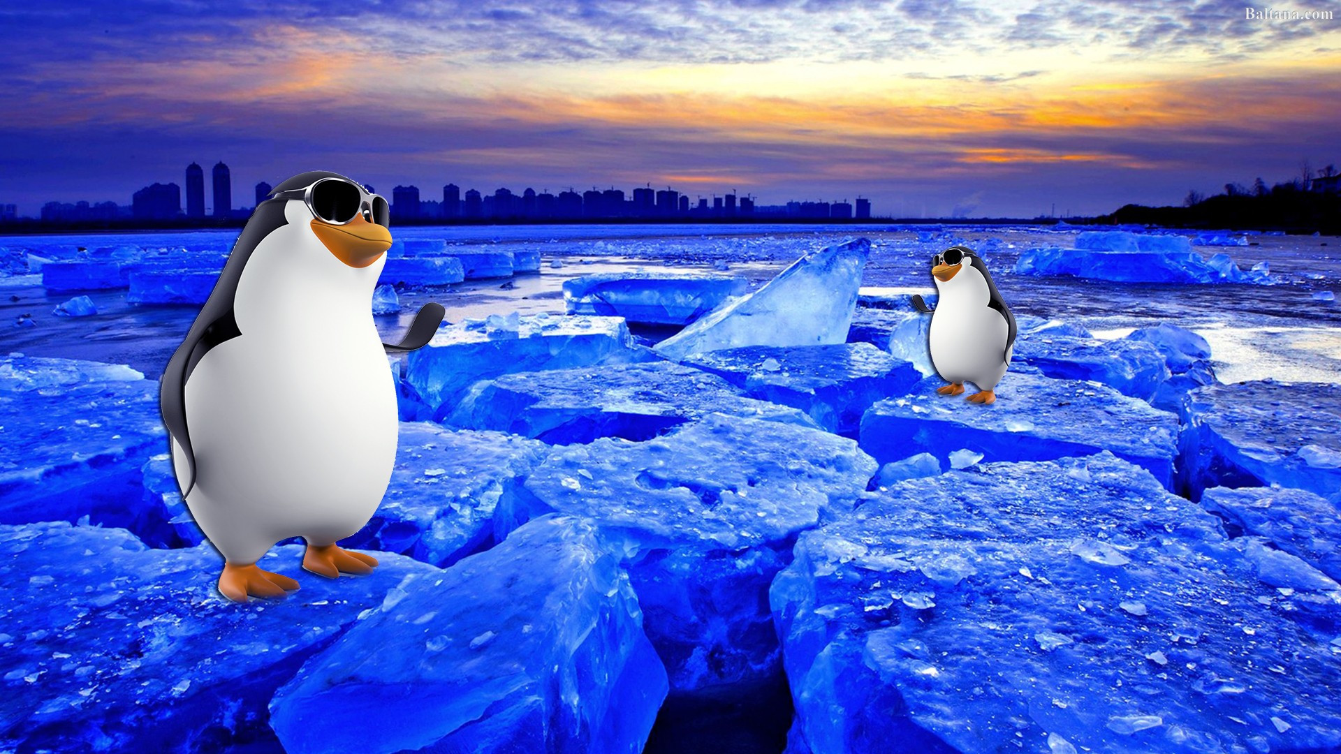 Pinguini su ghiaccio blu, 1920x1080 Full HD, Desktop
