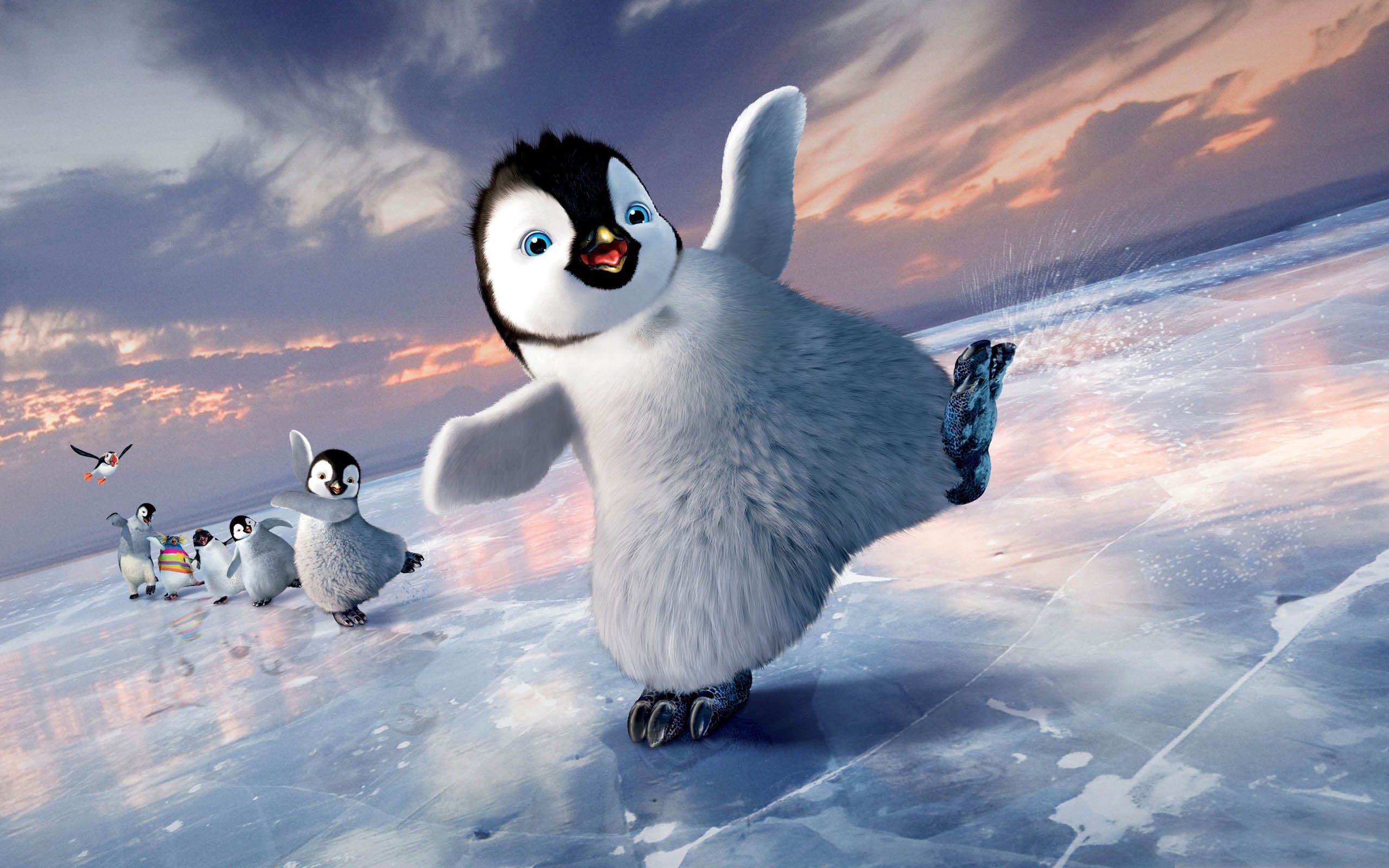 Pinguino cartone che pattina, 2560x1600 WQXGA, Desktop