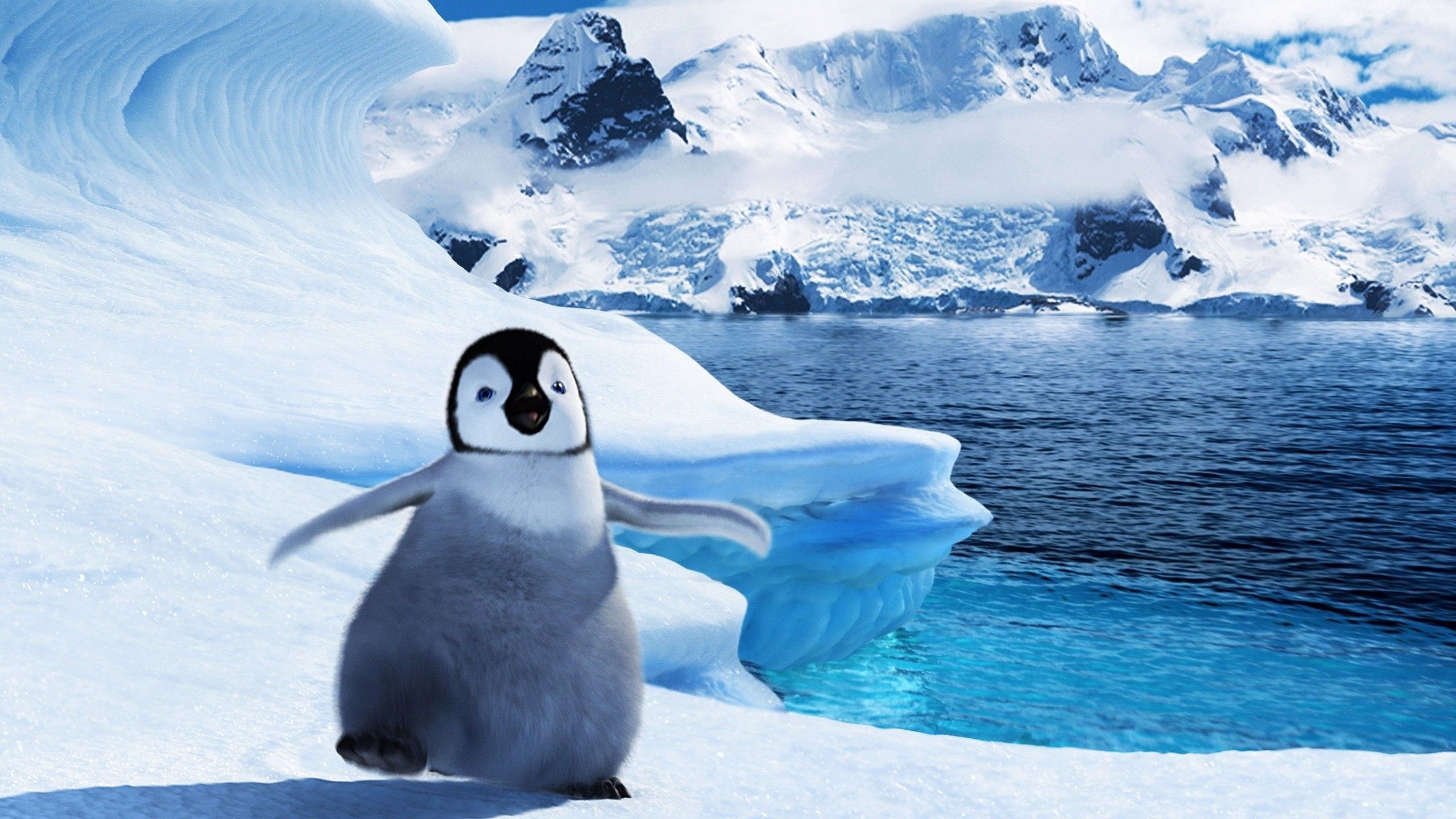Pinguino cucciolo animato neve, 2560x1440 2K QHD, PC