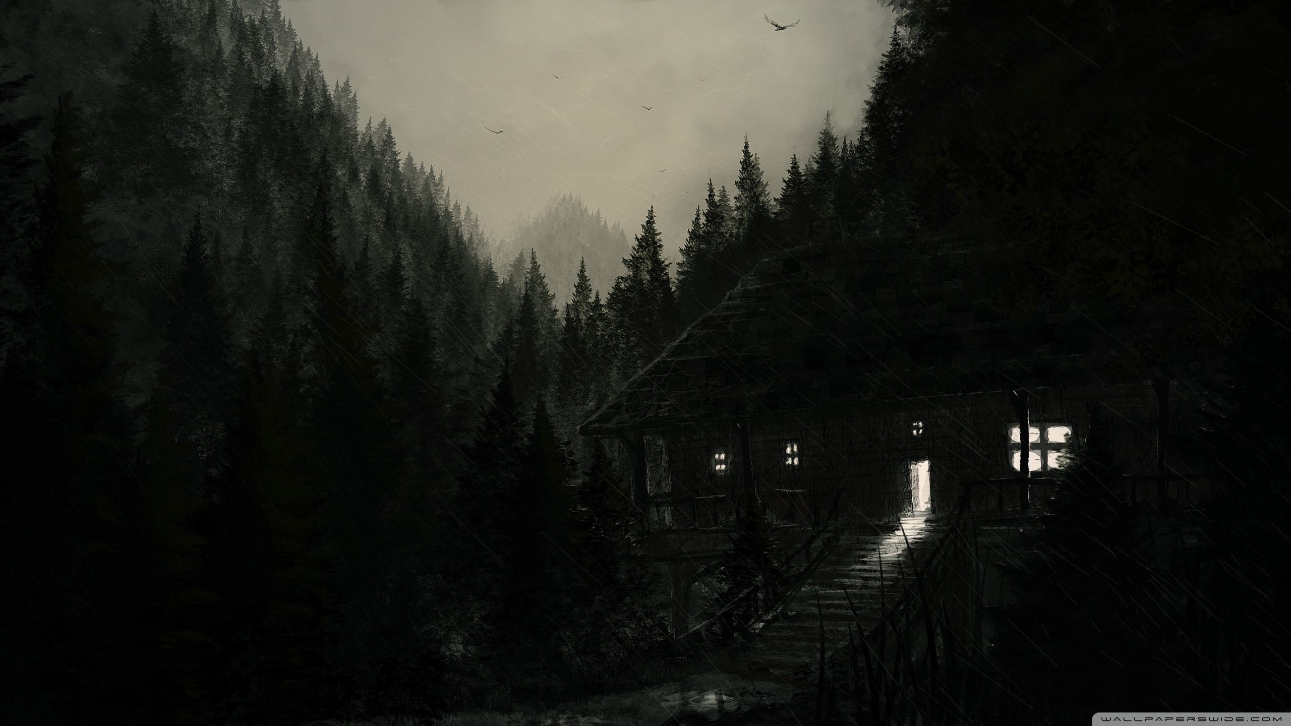 Casa nel bosco di notte, 2560x1440 QHD, Laptop