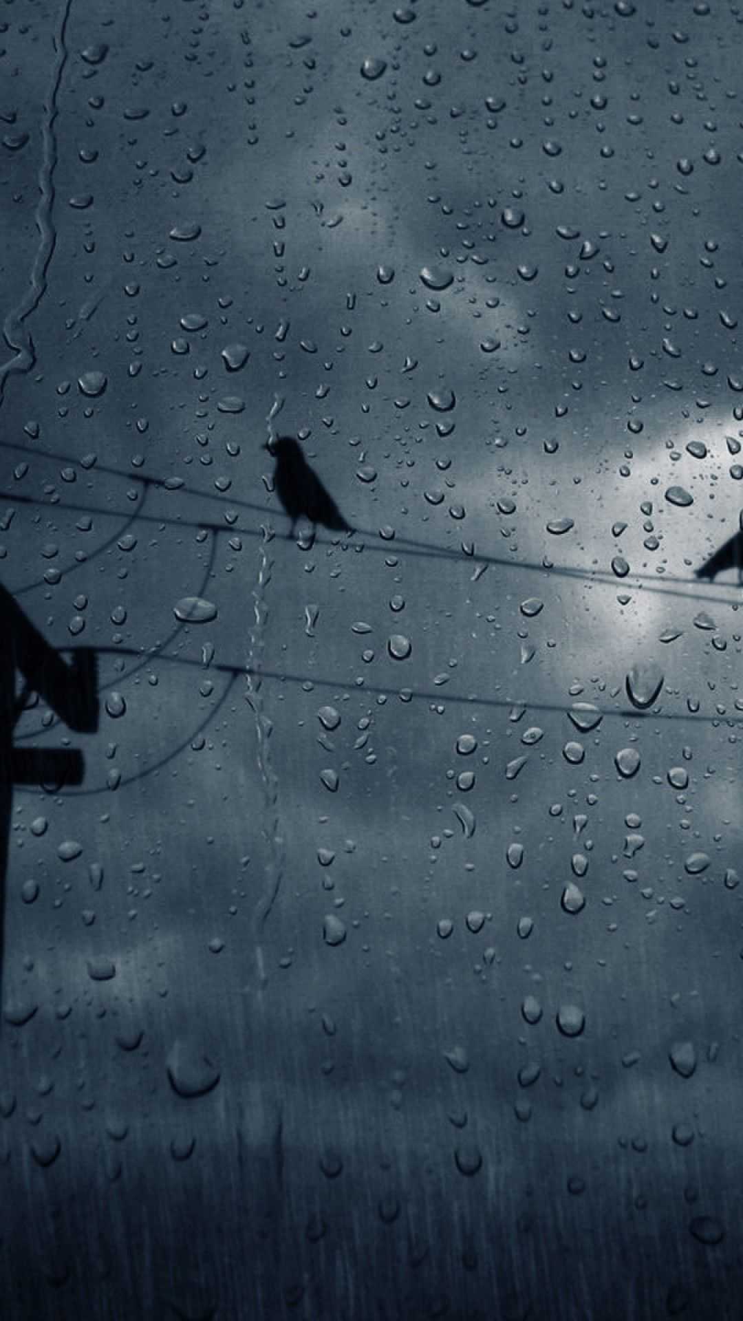 Uccelli su cavo, vetro con pioggia, 1080x1920 Verticale, Telefono