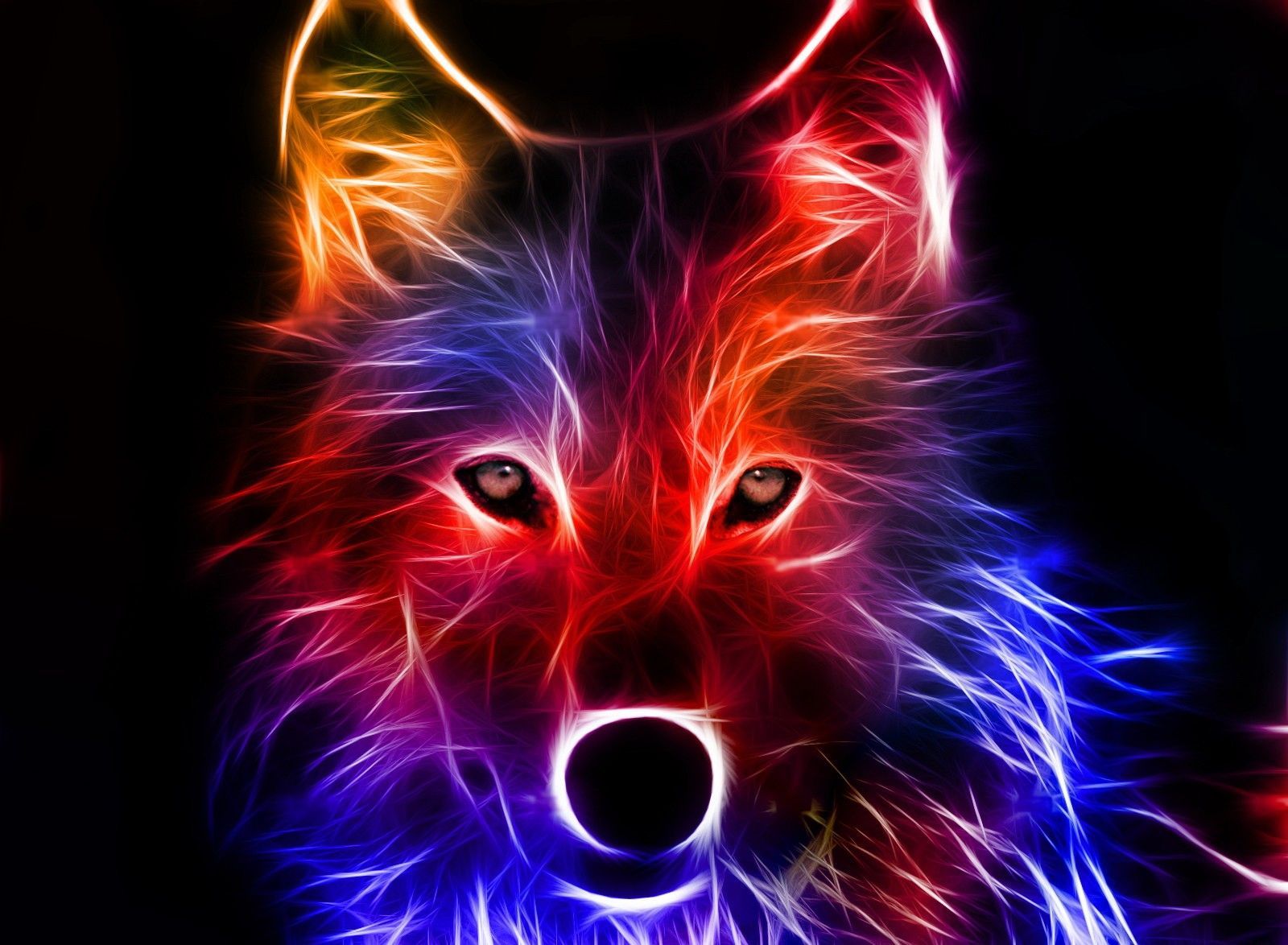 Lupo neon fractal art, 1600x1174 900p, Desktop
