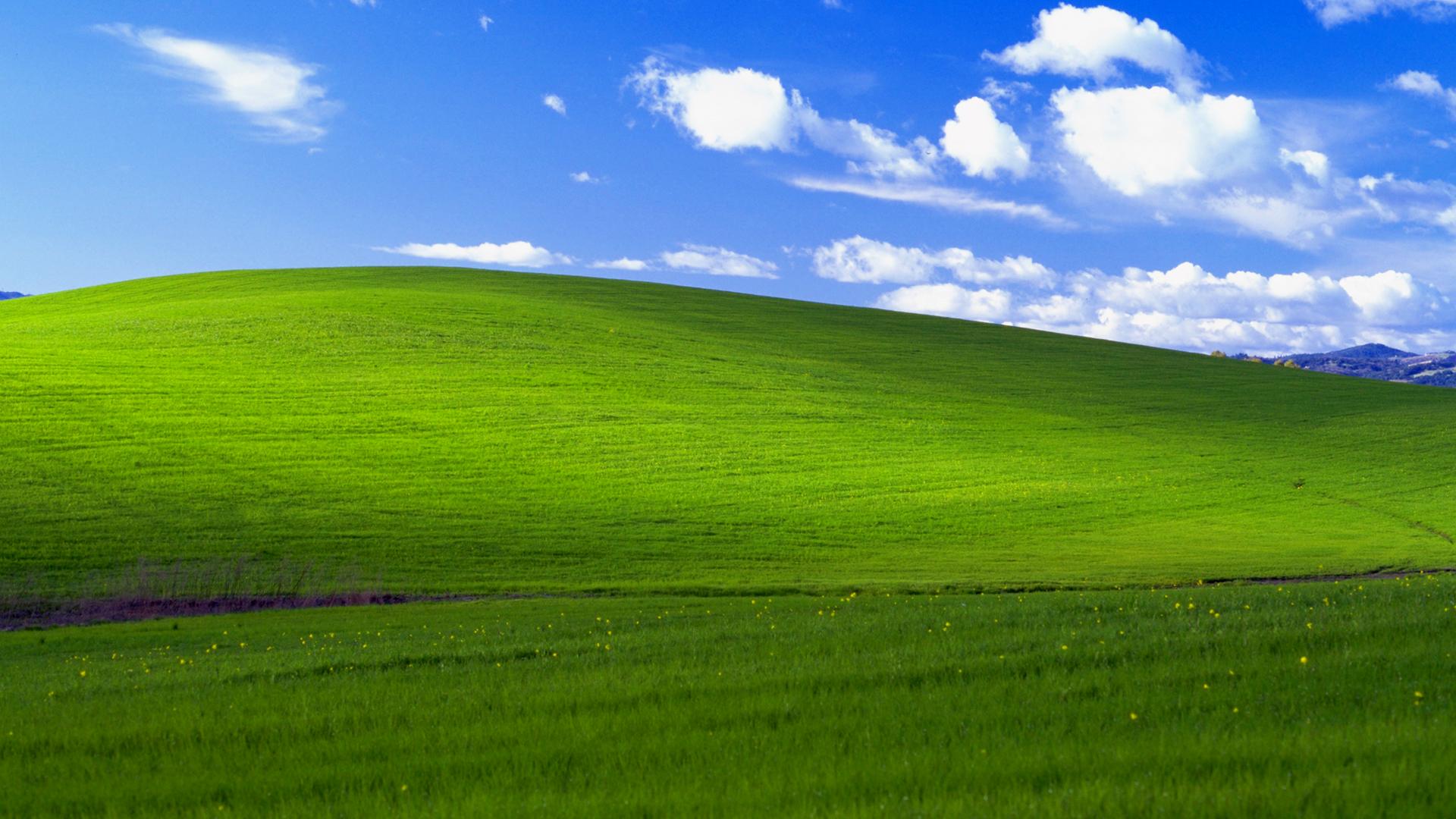 Windows XP Bliss collina verde, sistema operativo Microsoft, 1920x1080 Full HD 1080p, Desktop