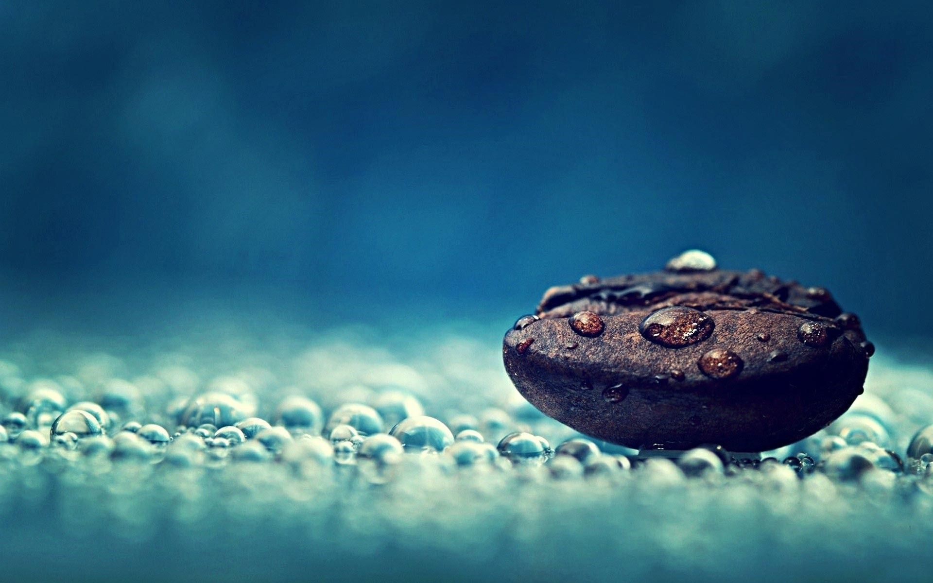 Chicco di caffè con gocce d'acqua, 1920x1200 Full HD+ WUXGA, Laptop