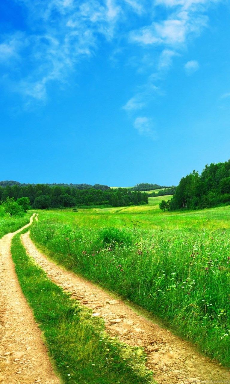 Sentiero di campagna verde, 768x1280 Verticale, Telefono