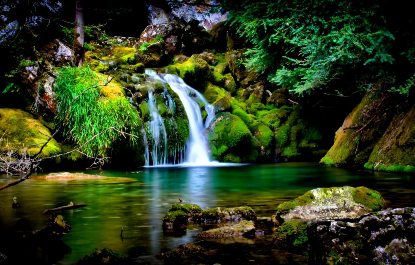 Cascata foresta verde smeraldo, 1440x920 720p, PC