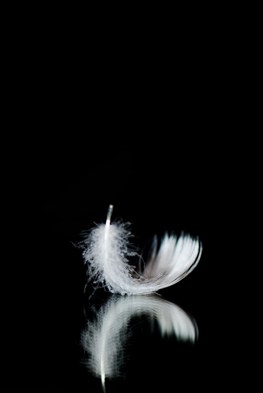 Piume dorate su nero, 887x2048 Verticale, Telefono