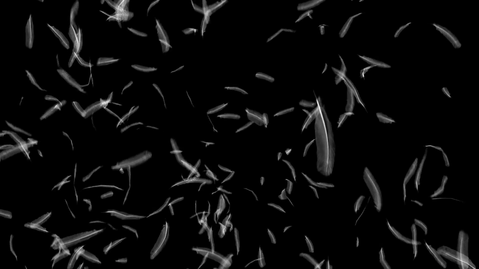 Carta da parati motivo spina di pesce grigio, 1600x2000 Verticale, Android