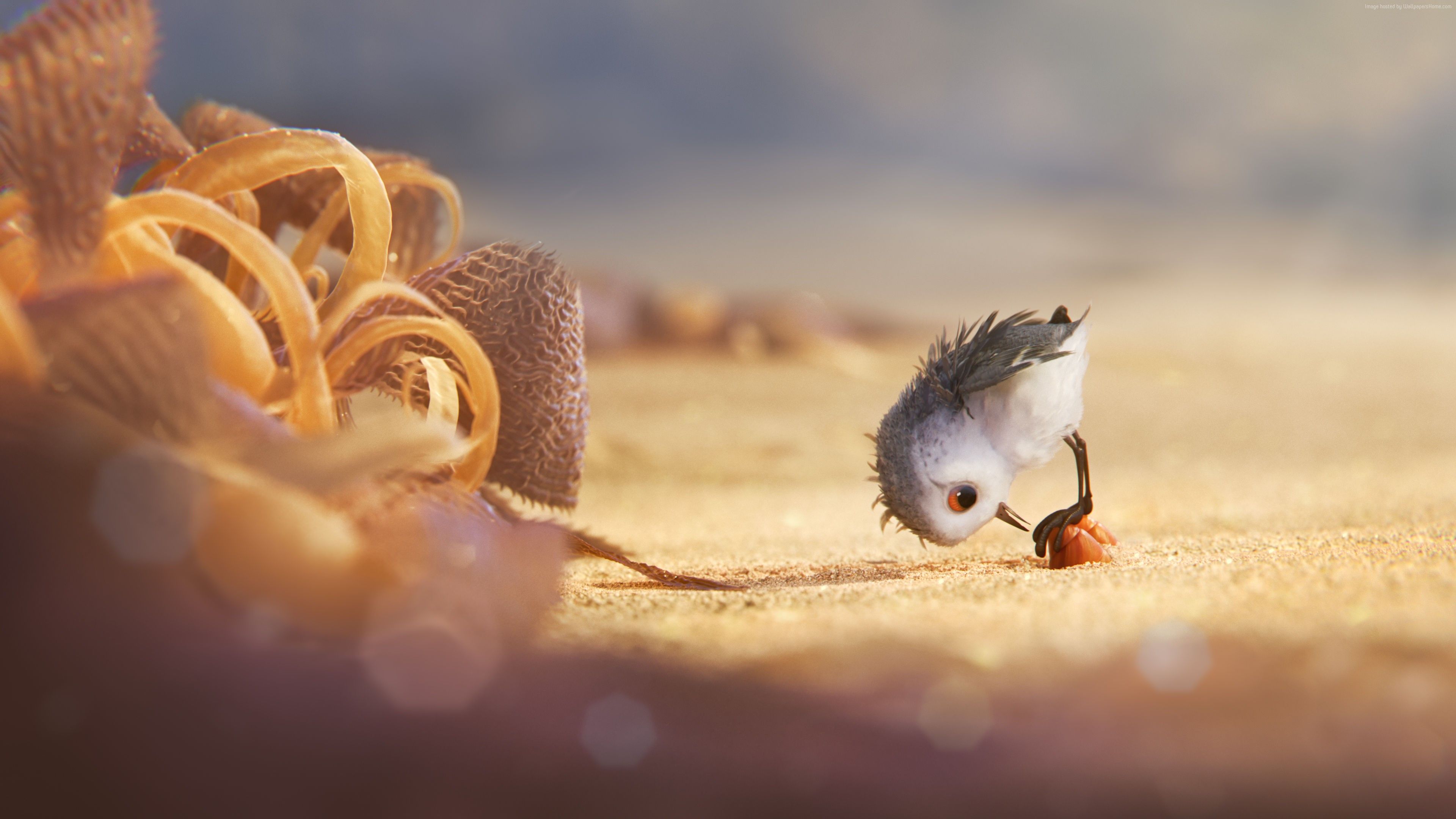 Piper pulcino Pixar spiaggia, 3840x2160 UHD, PC 4K