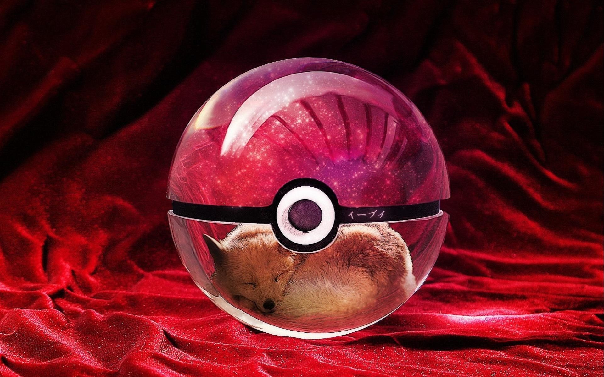 Poké Ball con volpe dentro, 1920x1200 Full HD+ WUXGA, PC