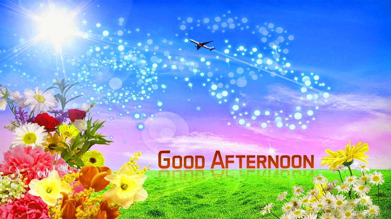Fiori colorati e cielo soleggiato, 1366x768 HD, Desktop