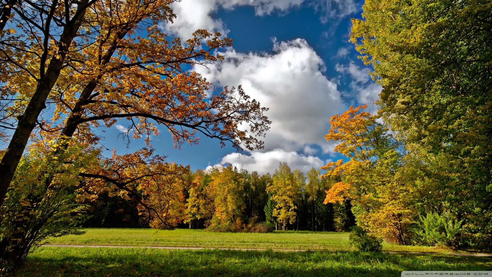 Parco autunnale con alberi colorati, 1920x1080 1080p, Desktop