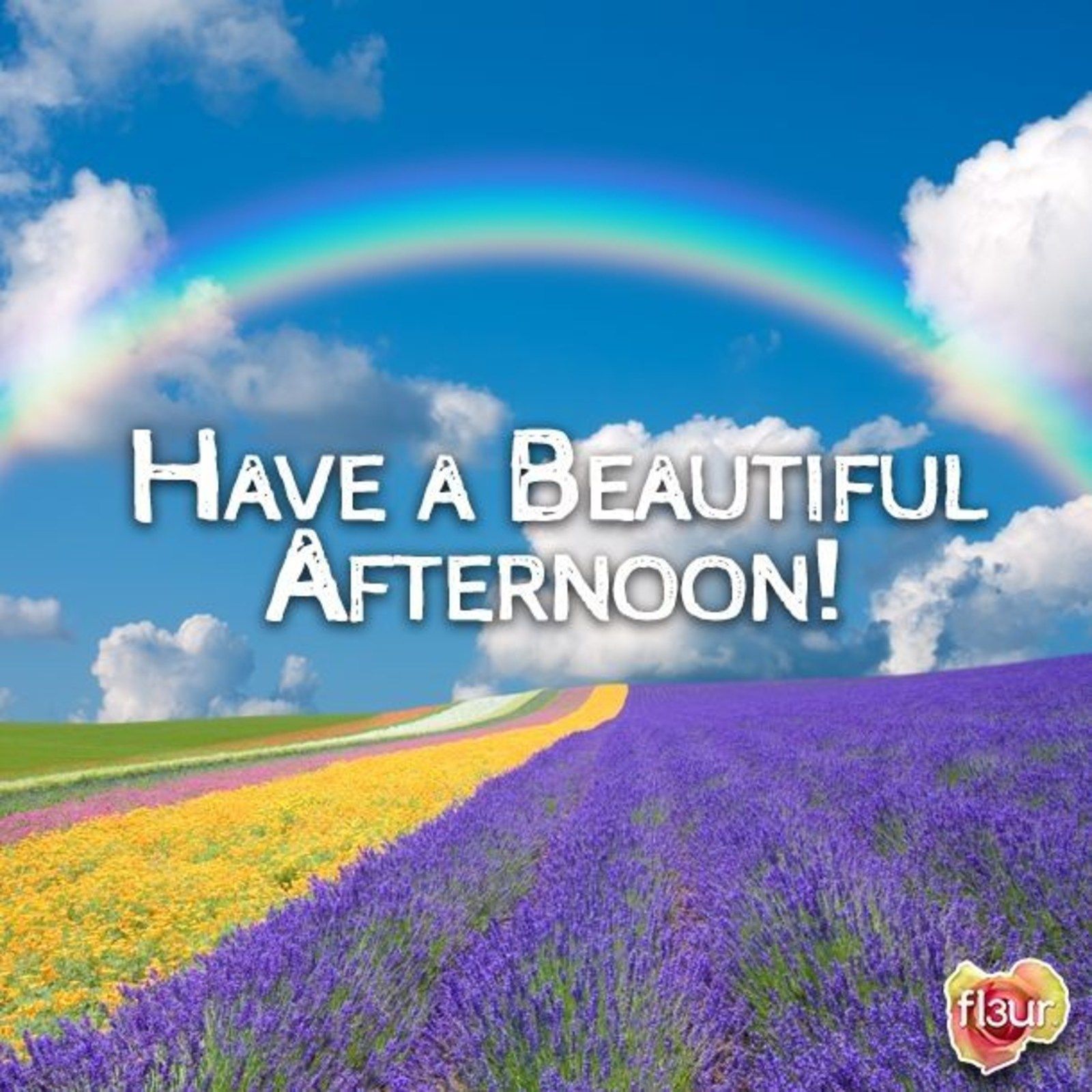 Campo di lavanda con arcobaleno, 1600x1600 HD Ready, Laptop