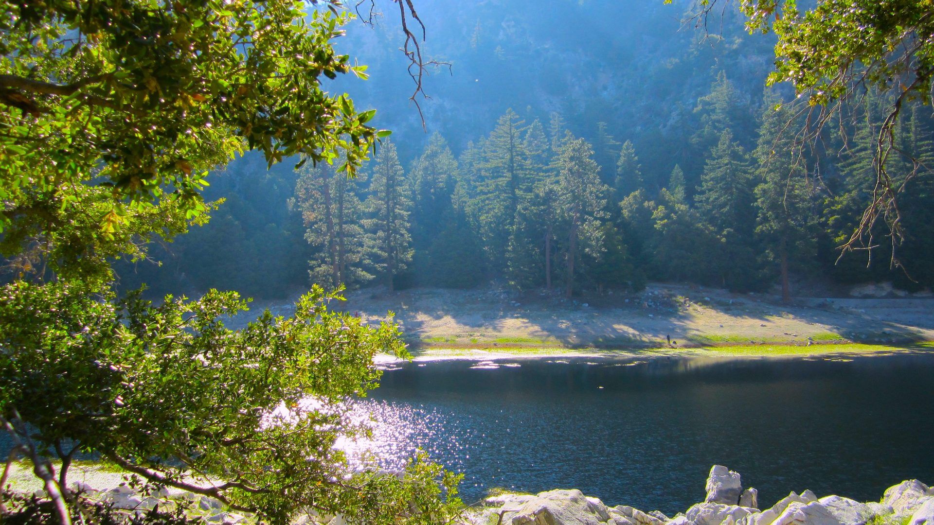 Lago cristallino tra alberi, 1920x1080 Full HD, Desktop