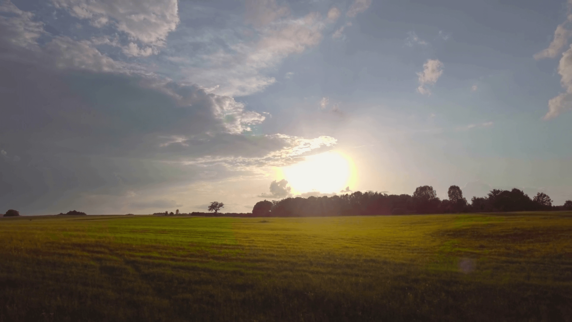 Campo verde al tramonto, 1920x1080 Full HD 1080p, PC