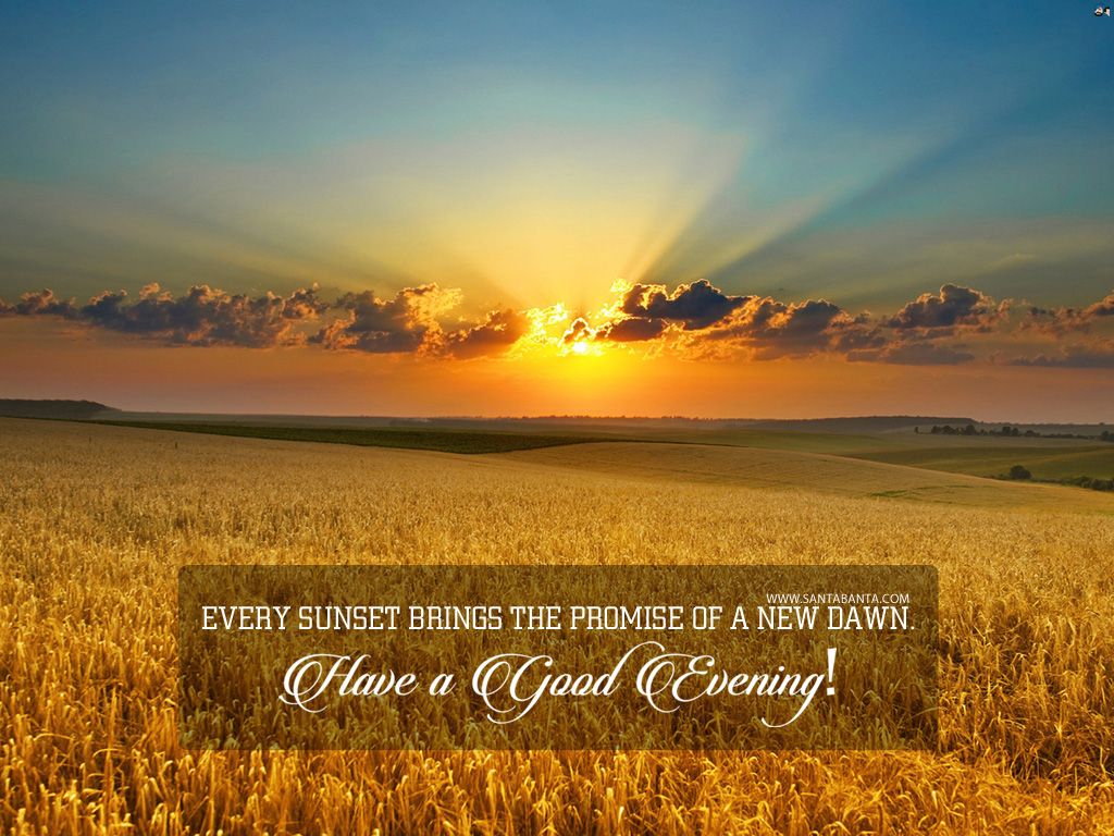Tramonto su campo di grano, 1024x768 HD, PC