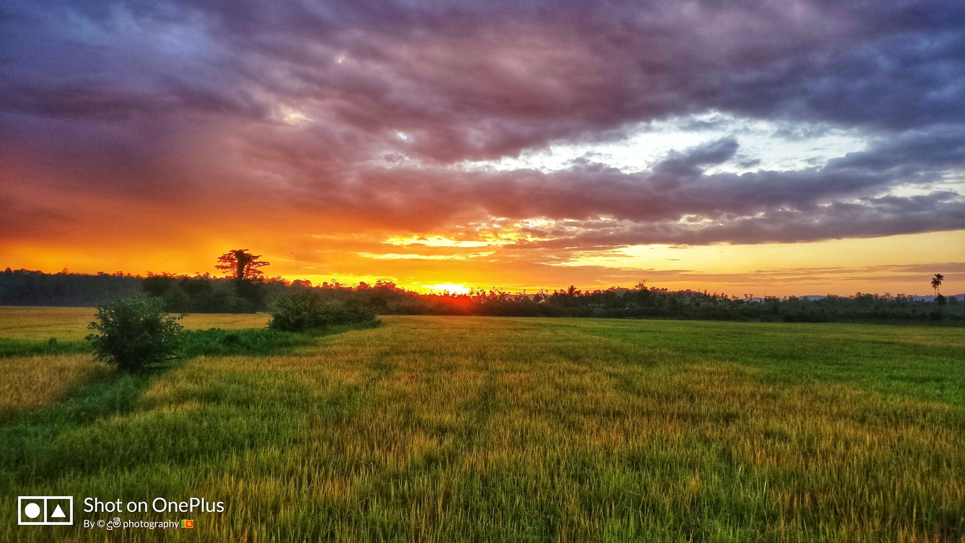 Tramonto su campo verde, 1920x1080 1080p, Desktop