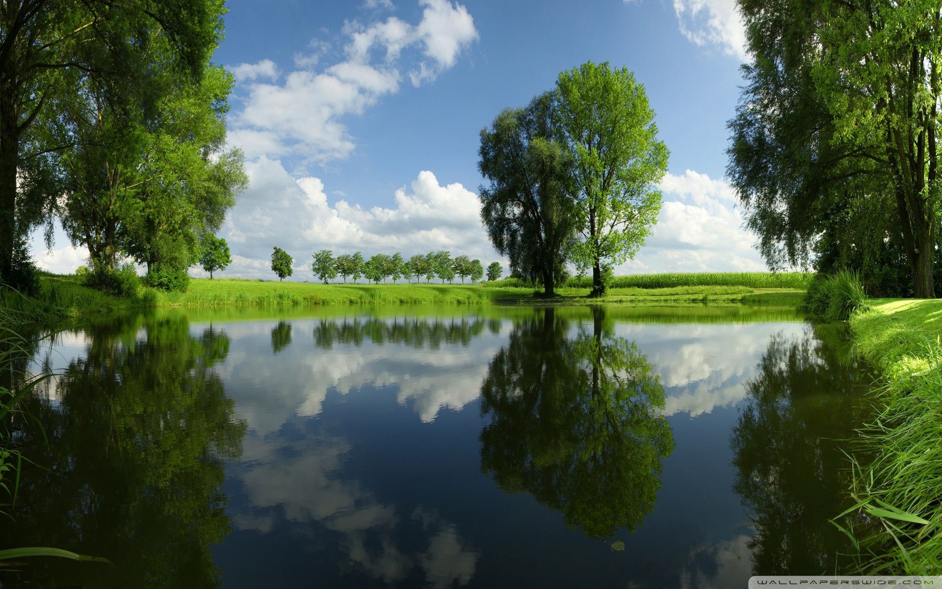 Fiume con alberi verdi riflessi, 1920x1200 WUXGA, Laptop