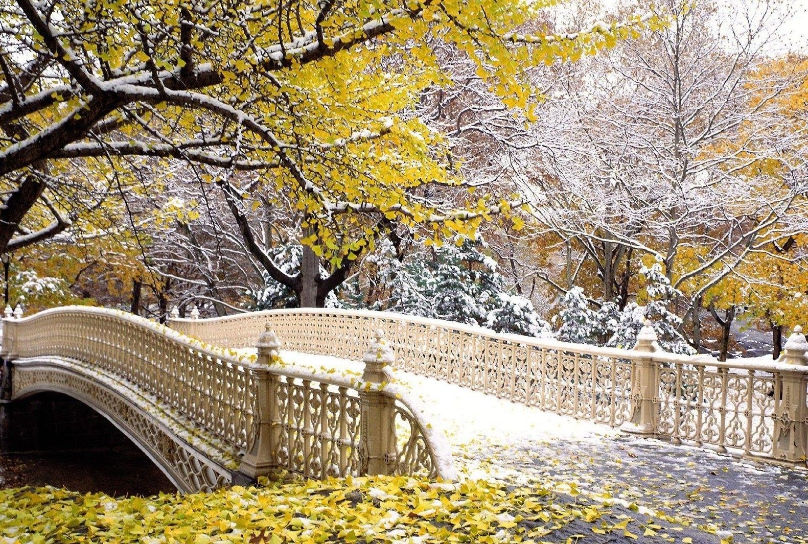 Ponte bianco in parco autunnale, 1581x1065 720p, Acer Nitro