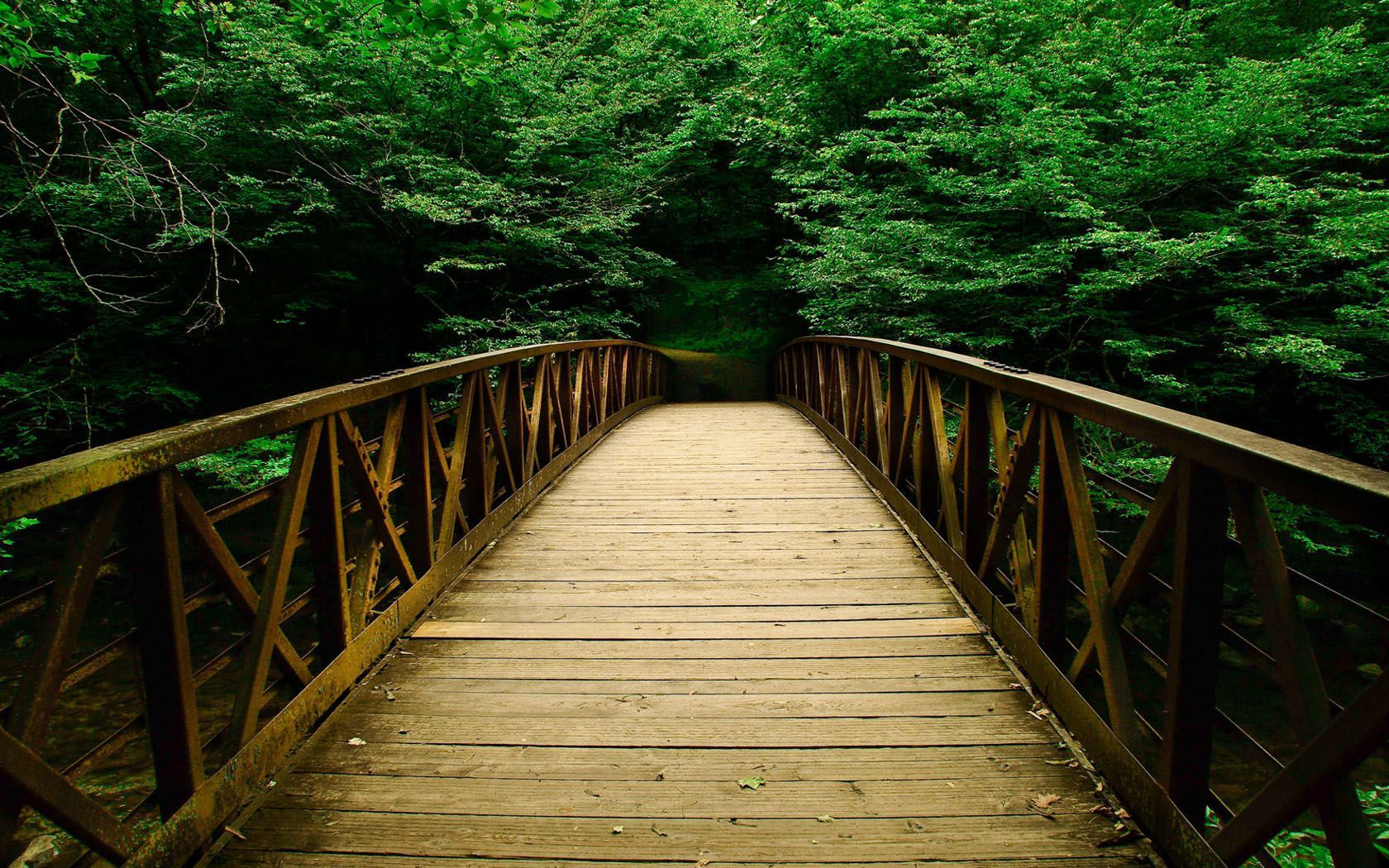 Ponte in legno nella foresta, 1680x1050 900p, HP Laptop