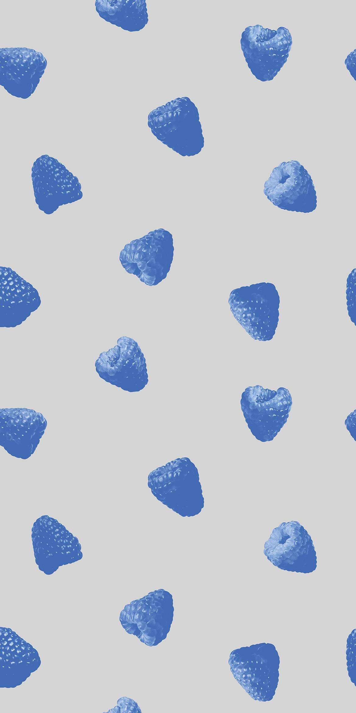 Lamponi blu pattern grigio, 1168x2336 Verticale, Telefono