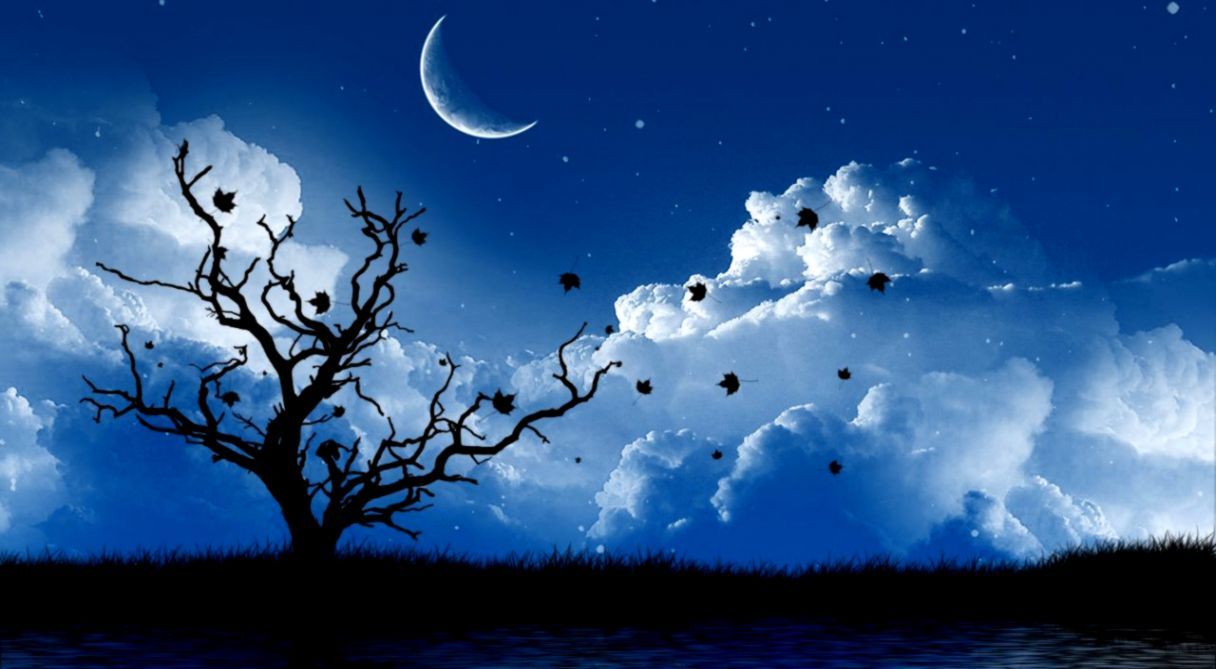 Albero silhouette notte luna, 1216x669 HD, Laptop