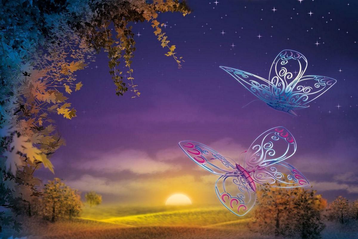 Farfalle decorative al tramonto, 1200x800 HD, Desktop