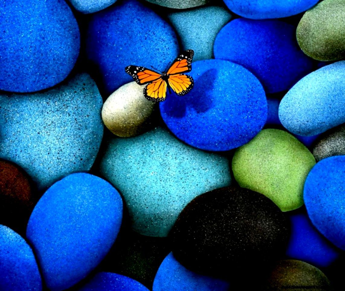 Farfalla arancione su sassi blu, 1143x963 HD, Laptop