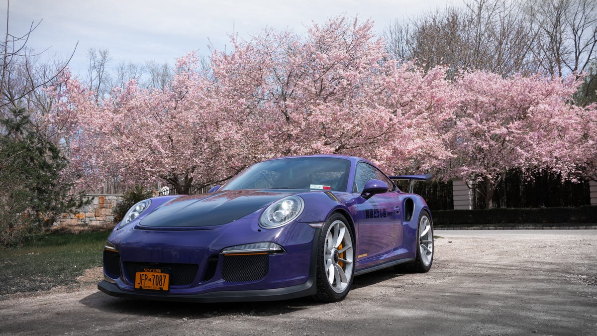 Porsche 911 blu ciliegi fioriti, 1200x675 HD, Desktop