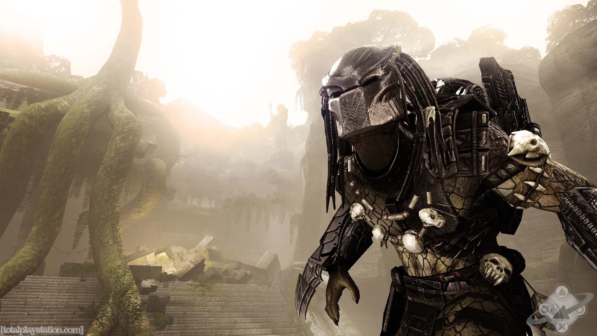Predator nella giungla, 1920x1080 Full HD 1080p, Desktop