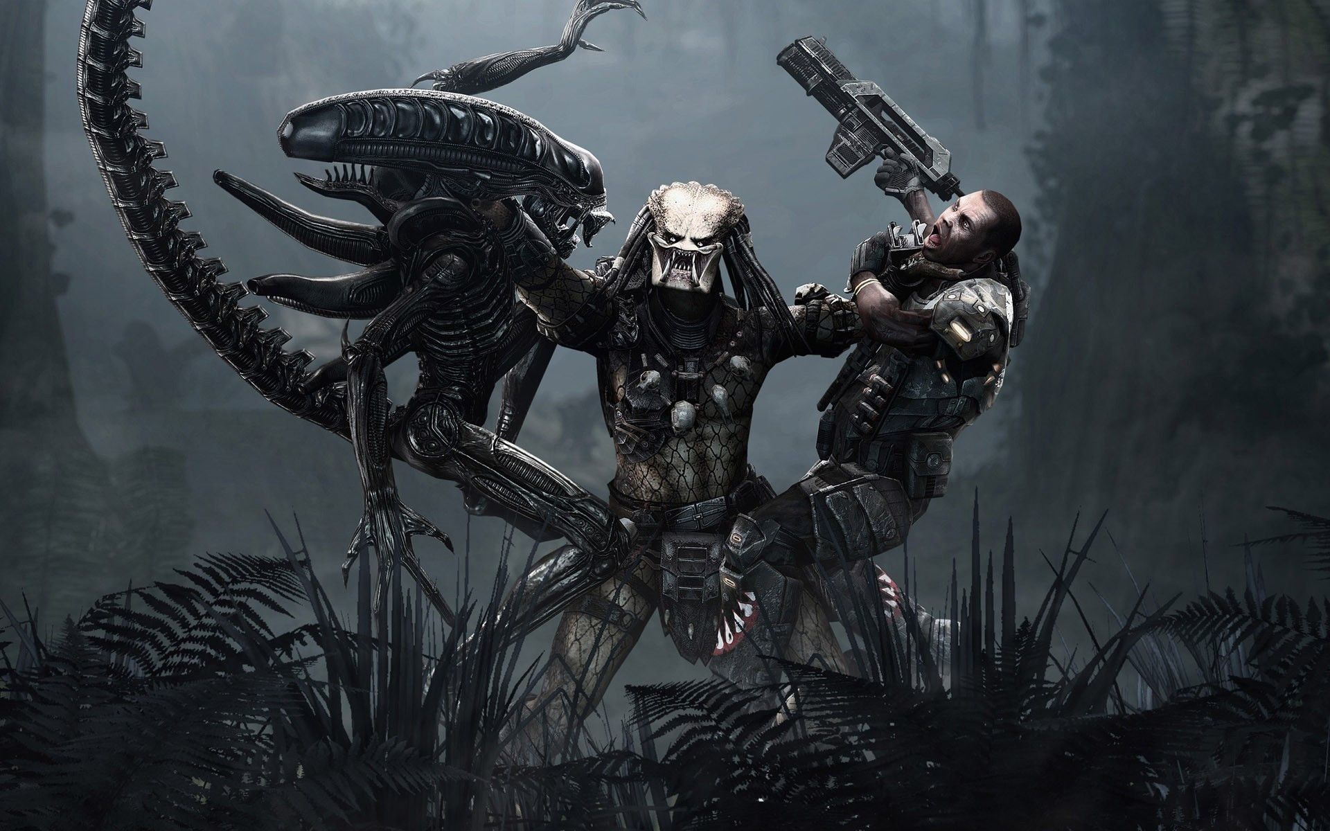 Predator e Alien battaglia, 1920x1200 WUXGA, PC Desktop