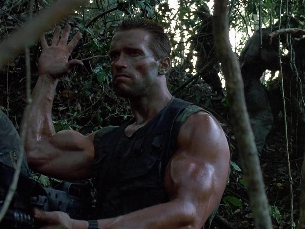 Predator 1987 film jungla, 2048x1363 Hi-Res, Laptop
