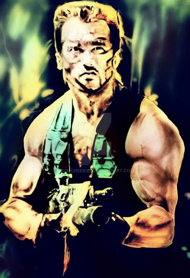 Arnold Schwarzenegger, film Predator, 2640x1772 2K, Laptop