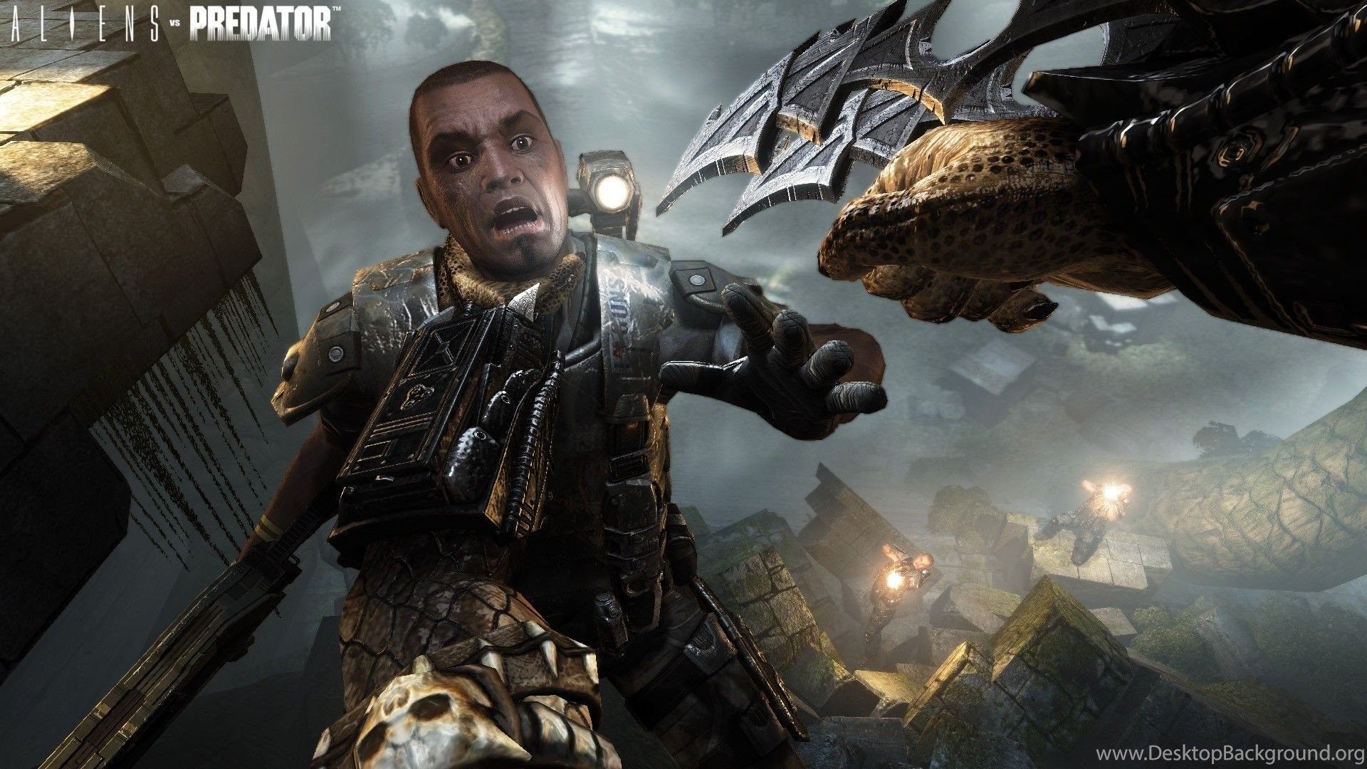 Predator film giungla militari, 1664x901 HD, Laptop