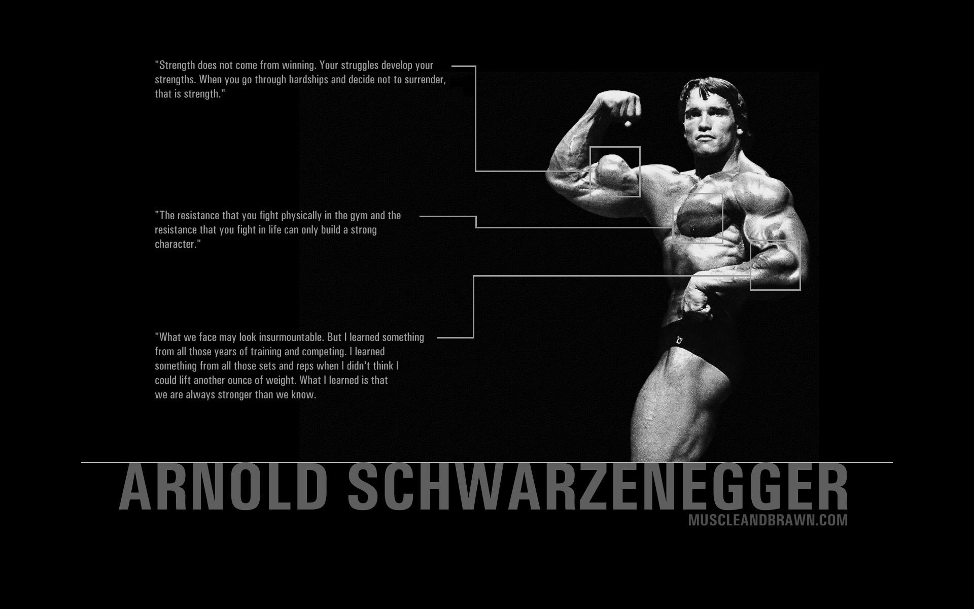 Arnold Schwarzenegger bodybuilding bianco nero, 1920x1200 Full HD+ WUXGA, Desktop