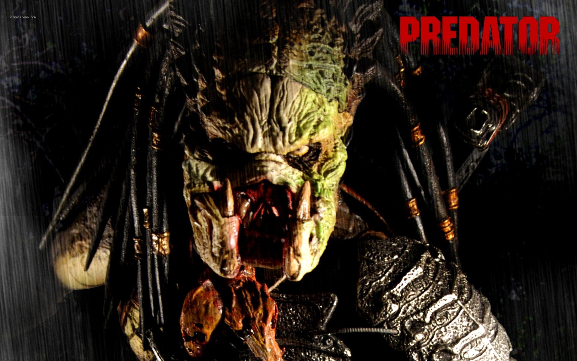 Arnold Schwarzenegger film Predator, 2560x1920 2K, Desktop