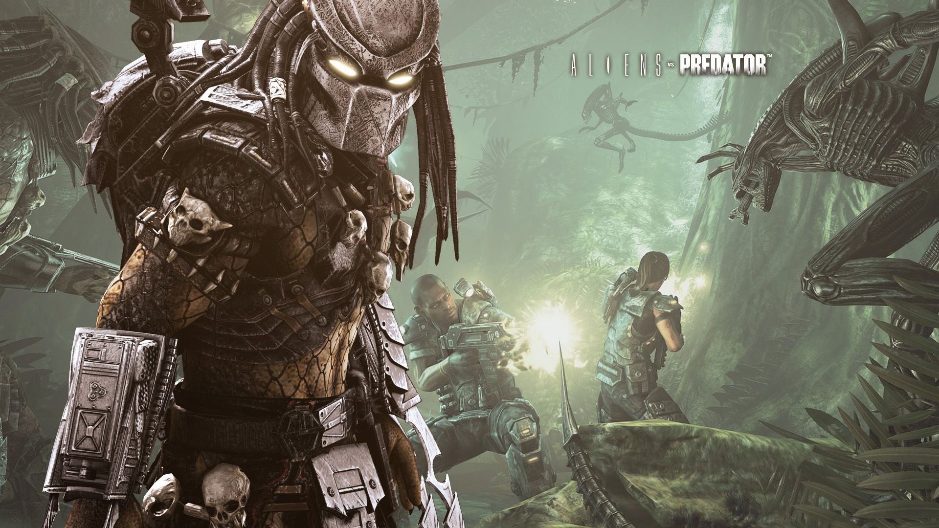 Predator, Arnold Schwarzenegger nella giungla, 1500x844 HD, Desktop