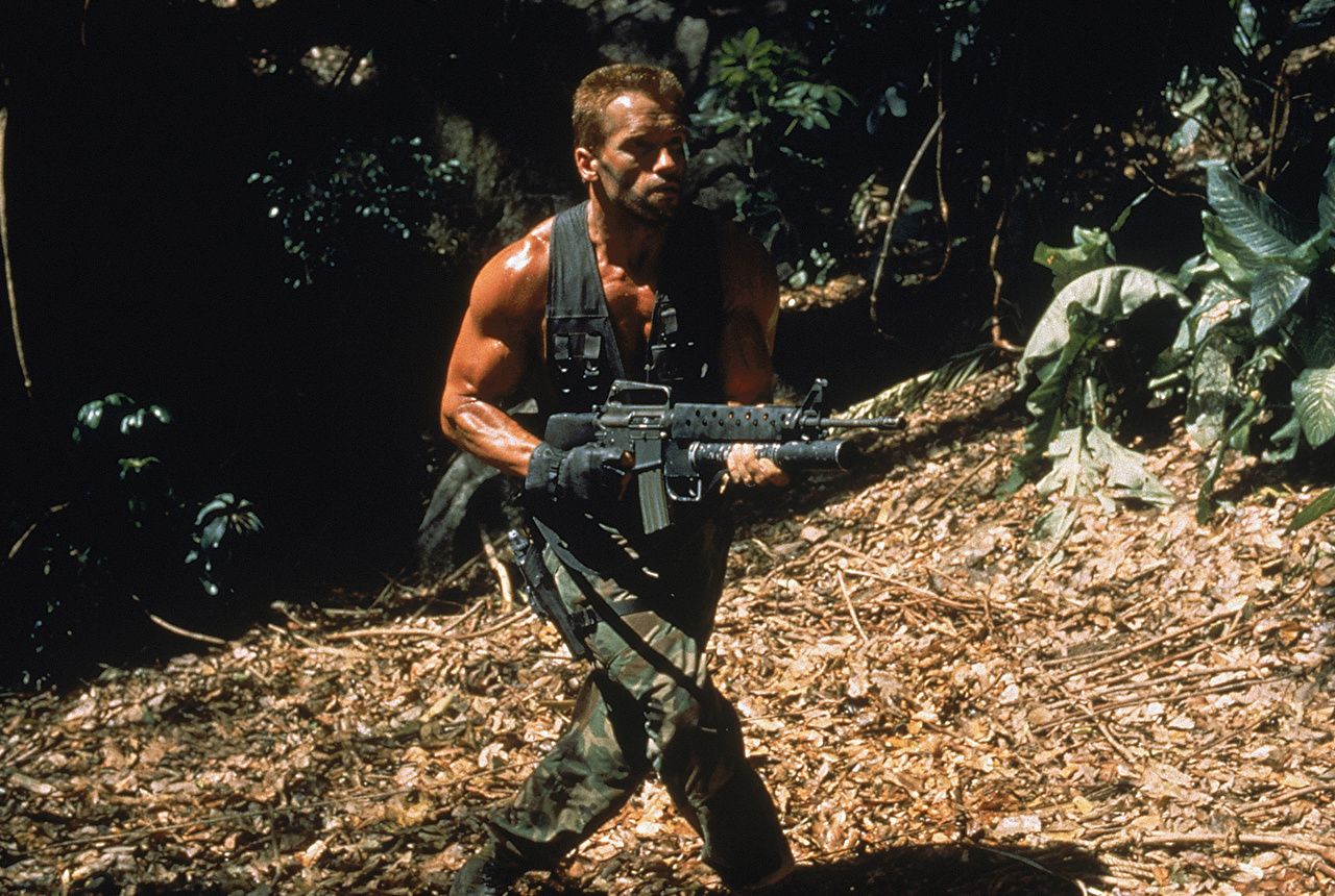 Predator, Arnold Schwarzenegger, fucile, 1280x860 HD, Desktop