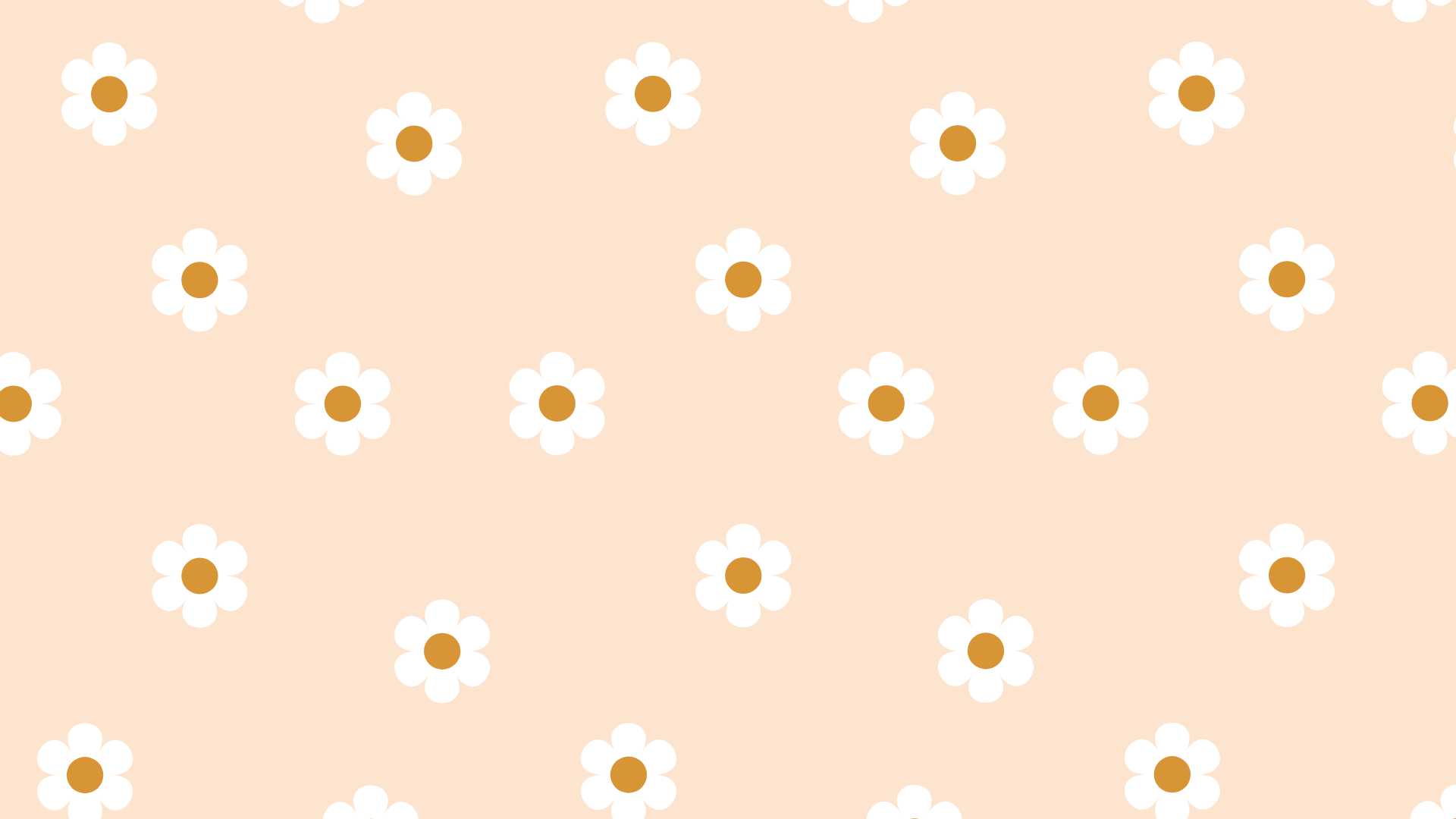 Margherite bianche sfondo rosa pesca, 1920x1080 1080p, Laptop