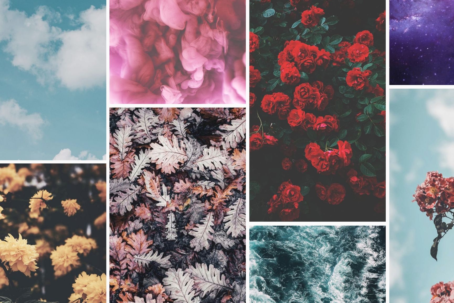 Collage fiori e cielo pastello, 1730x1155 900p, Desktop