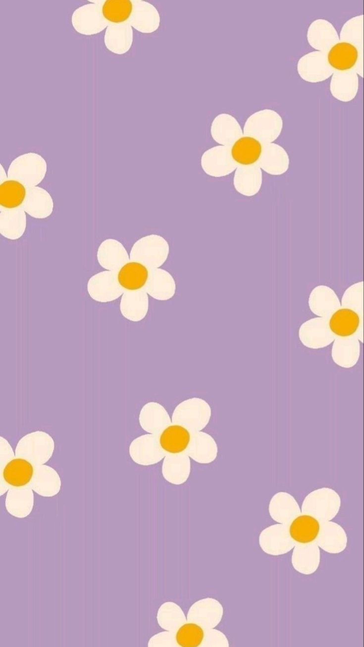 Margherite bianche sfondo viola, 735x1308 Full HD Verticale, iPhone