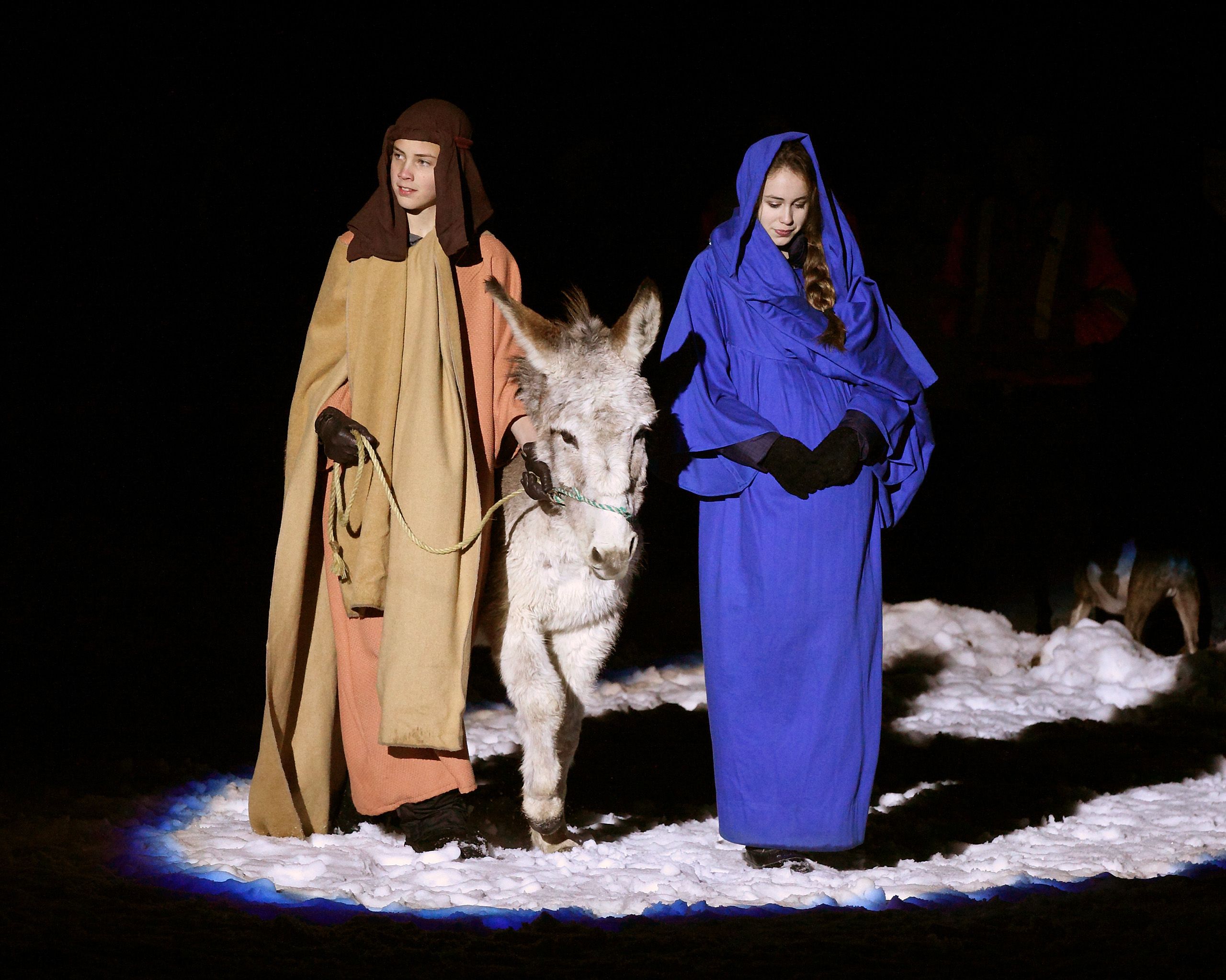 Presepe vivente con asino, 2560x2048 2K, Desktop