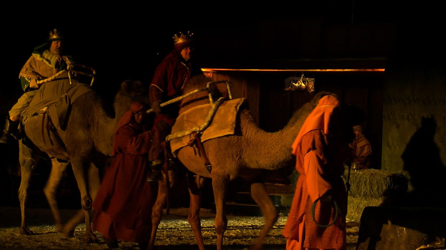 Presepe vivente con cammelli notturno, 1500x843 720p, PC
