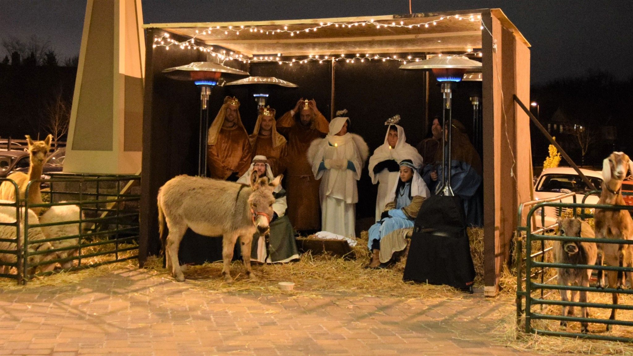 Presepe vivente nella mangiatoia, 1920x1080 Full HD 1080p, Desktop