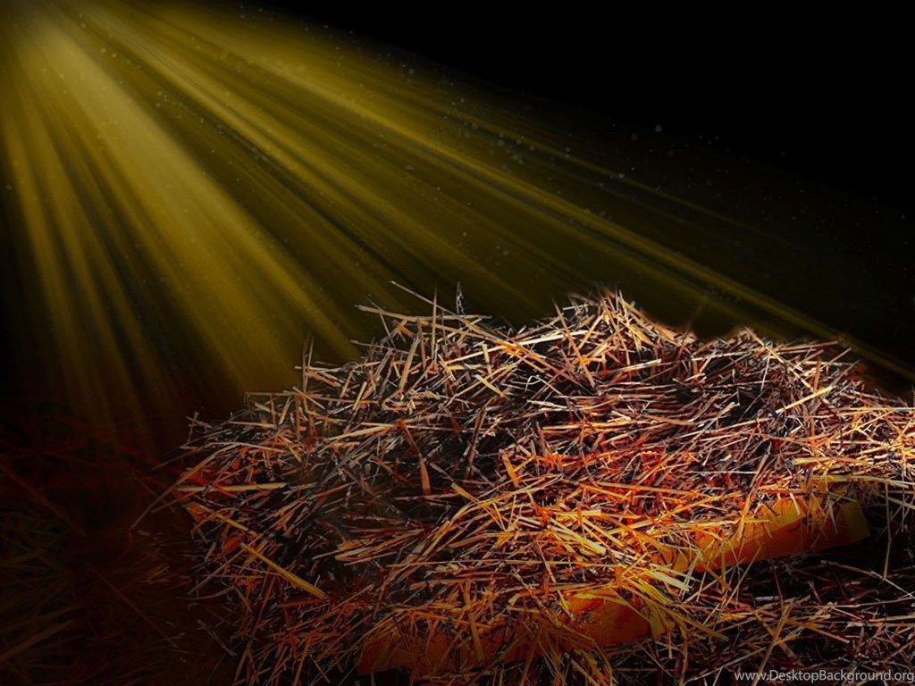 Mangiatoia con fieno illuminata, 1024x768 HD, Laptop