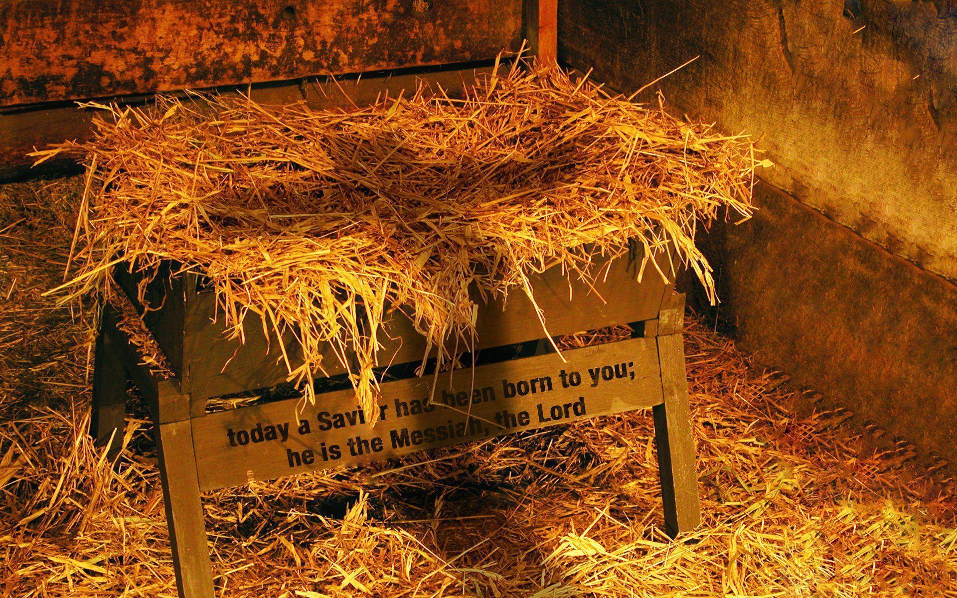 Mangiatoia con paglia, presepe, 1920x1200 Full HD+, PC