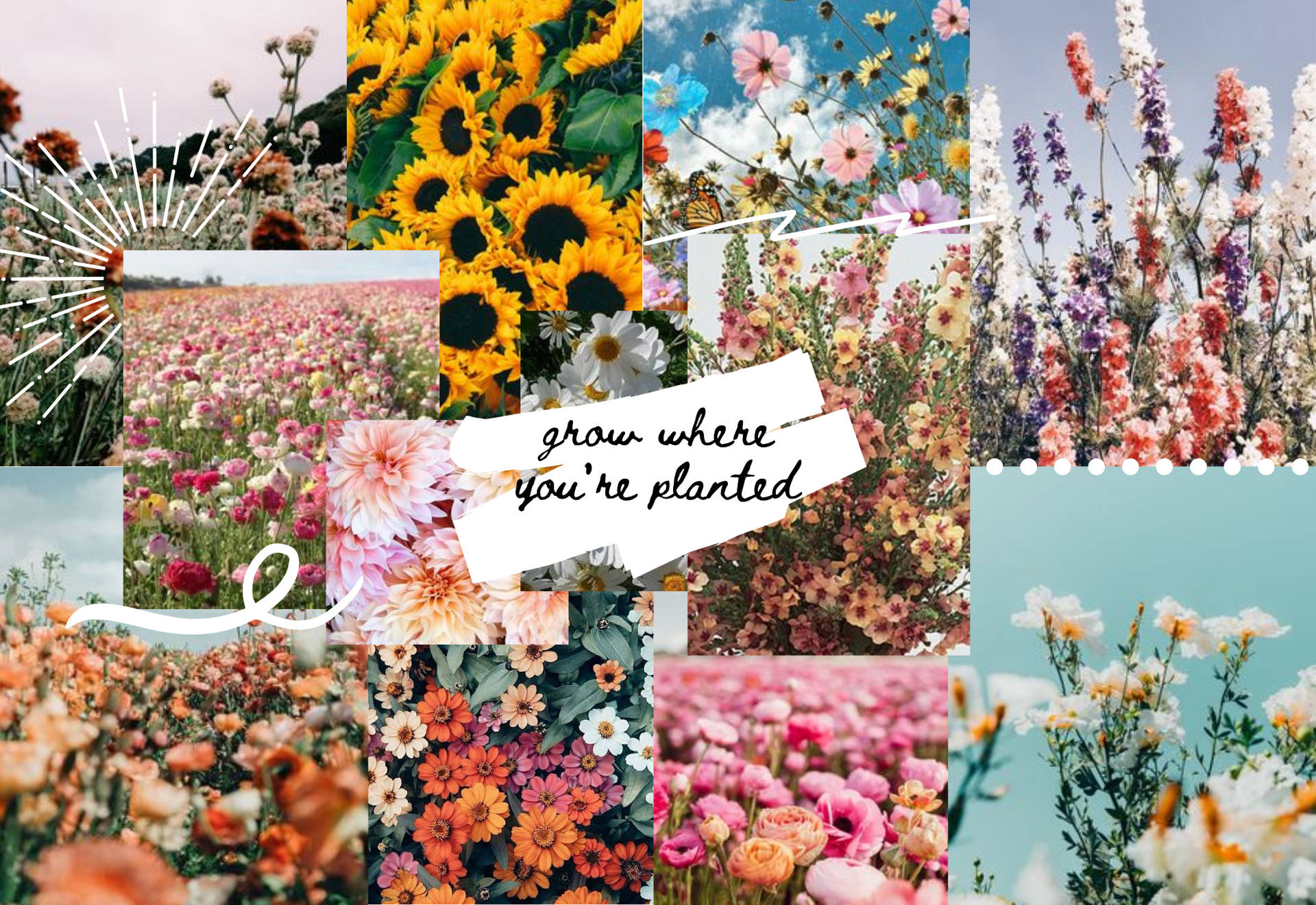 Collage fiori primaverili colorati, 1920x1321 Full HD+ WUXGA, Laptop