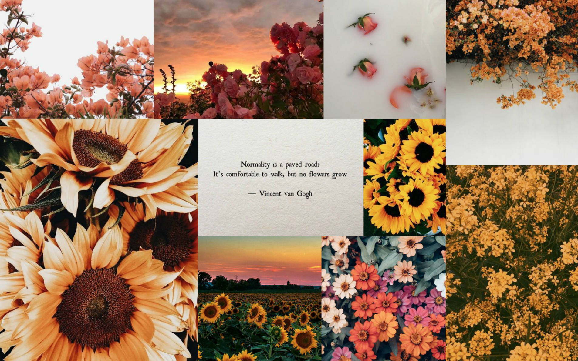 Collage fiori primaverili estetico, 1905x1191 HD, Desktop