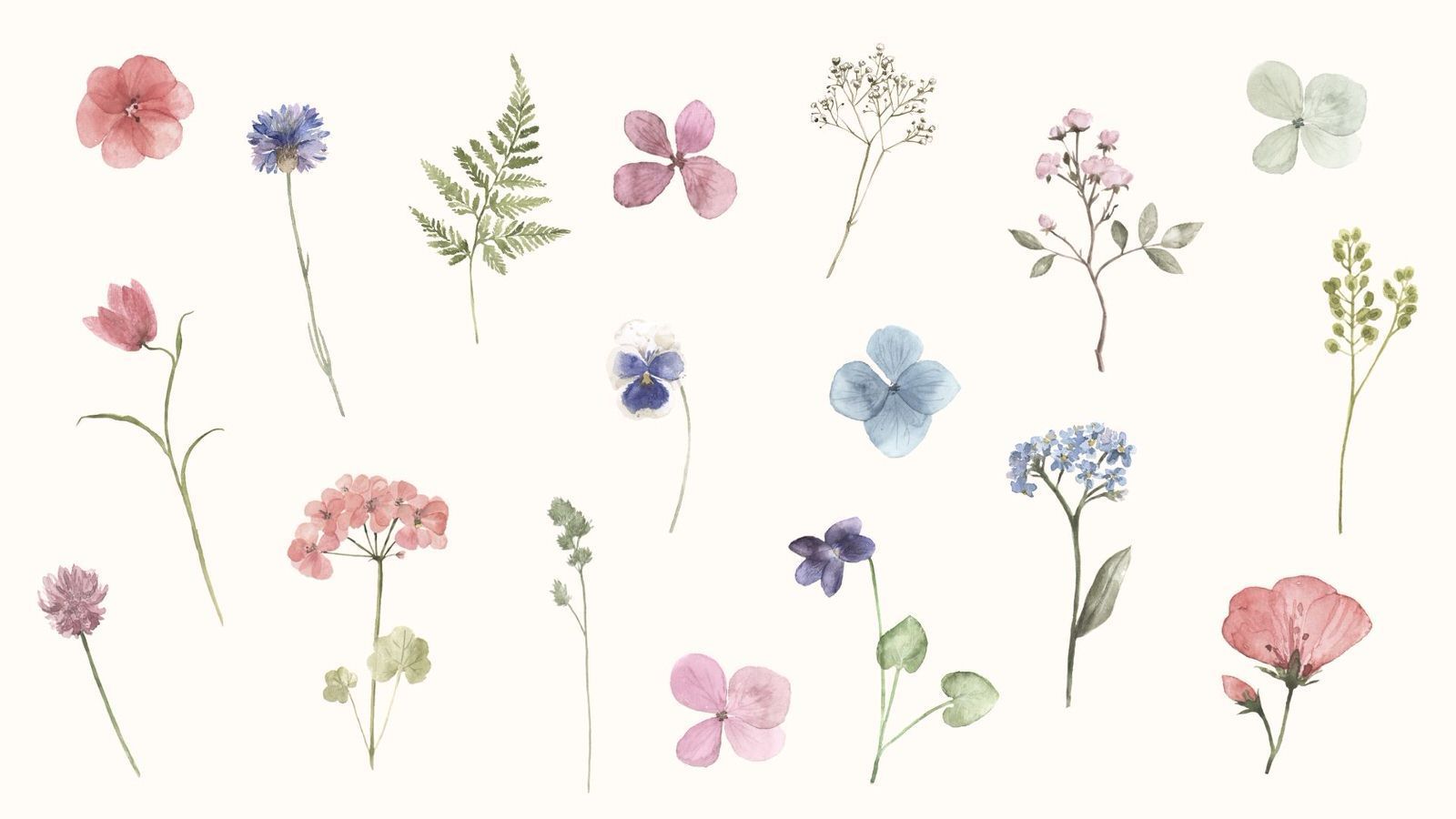 Fiori acquerello sparsi pastello, 1600x900 HD Ready, Desktop